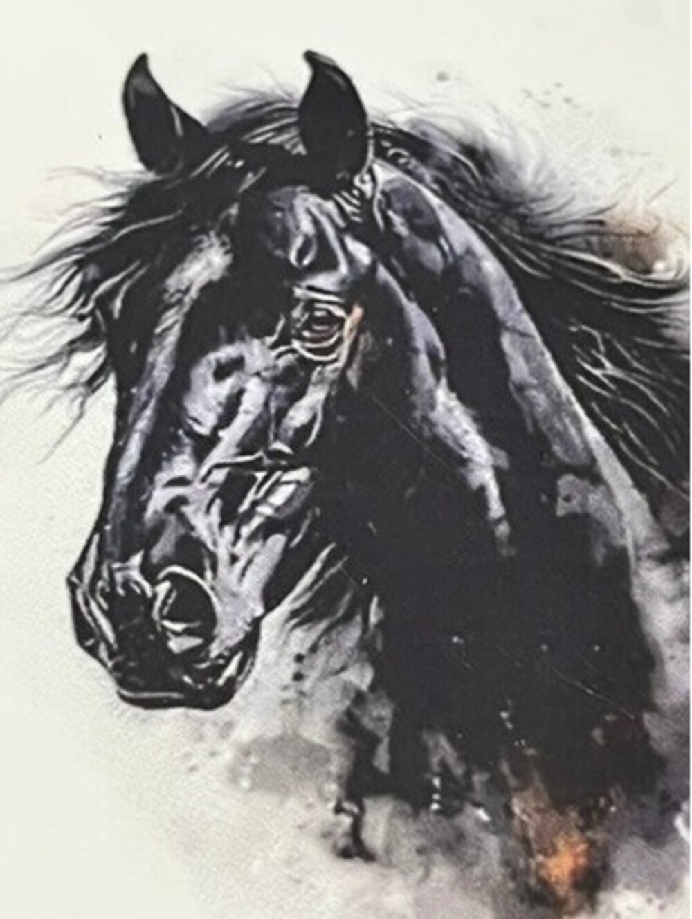 Stunning Black Beauty Car or Laptop (et all) Decal Sticker